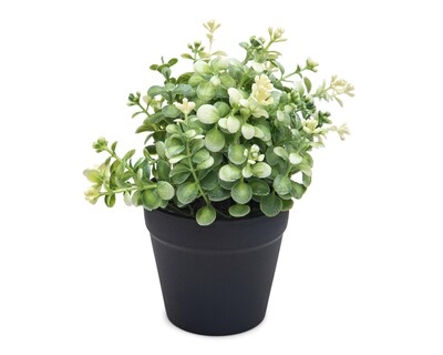 Foto 2 | Eucalipto Artificial con Maceta Starhaus 19 cm