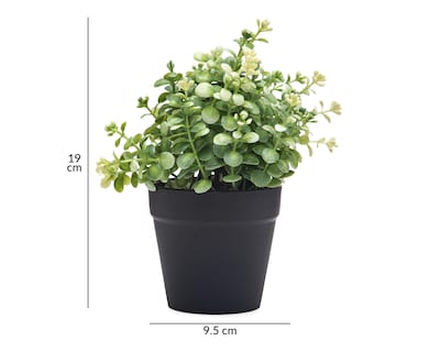 Foto 5 | Eucalipto Artificial con Maceta Starhaus 19 cm