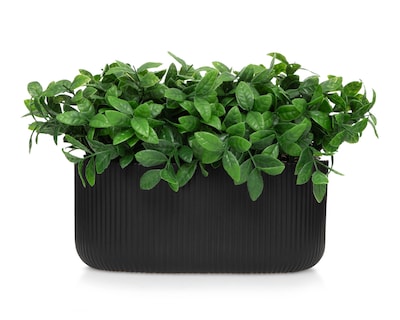 Foto 1 | Menta Artificial con Maceta Starhaus de 20 cm