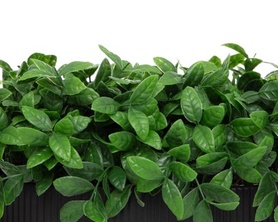 Foto 3 | Menta Artificial con Maceta Starhaus de 20 cm
