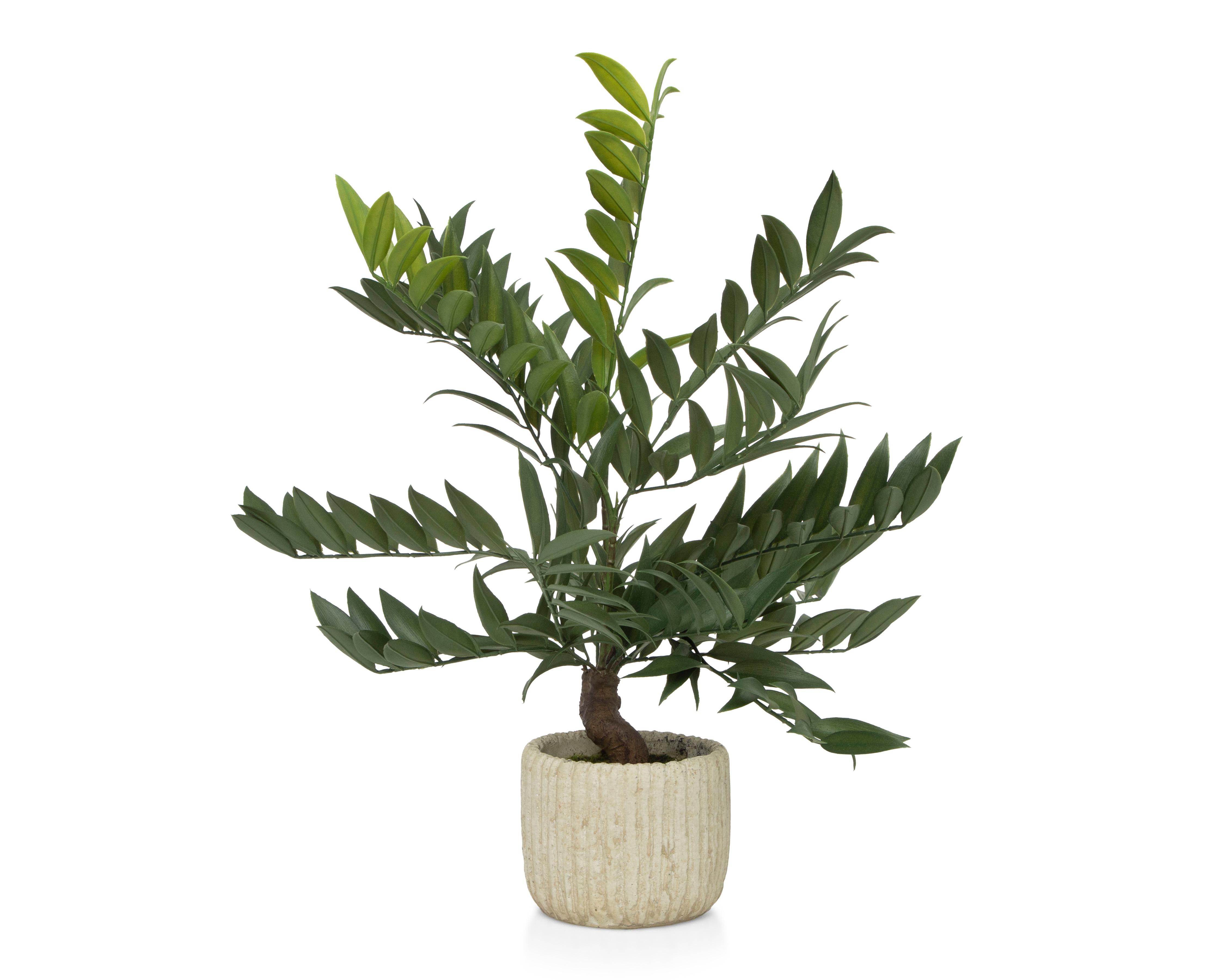 Foto 1 | Pterocaria Artificial con Maceta Starhaus 53 cm