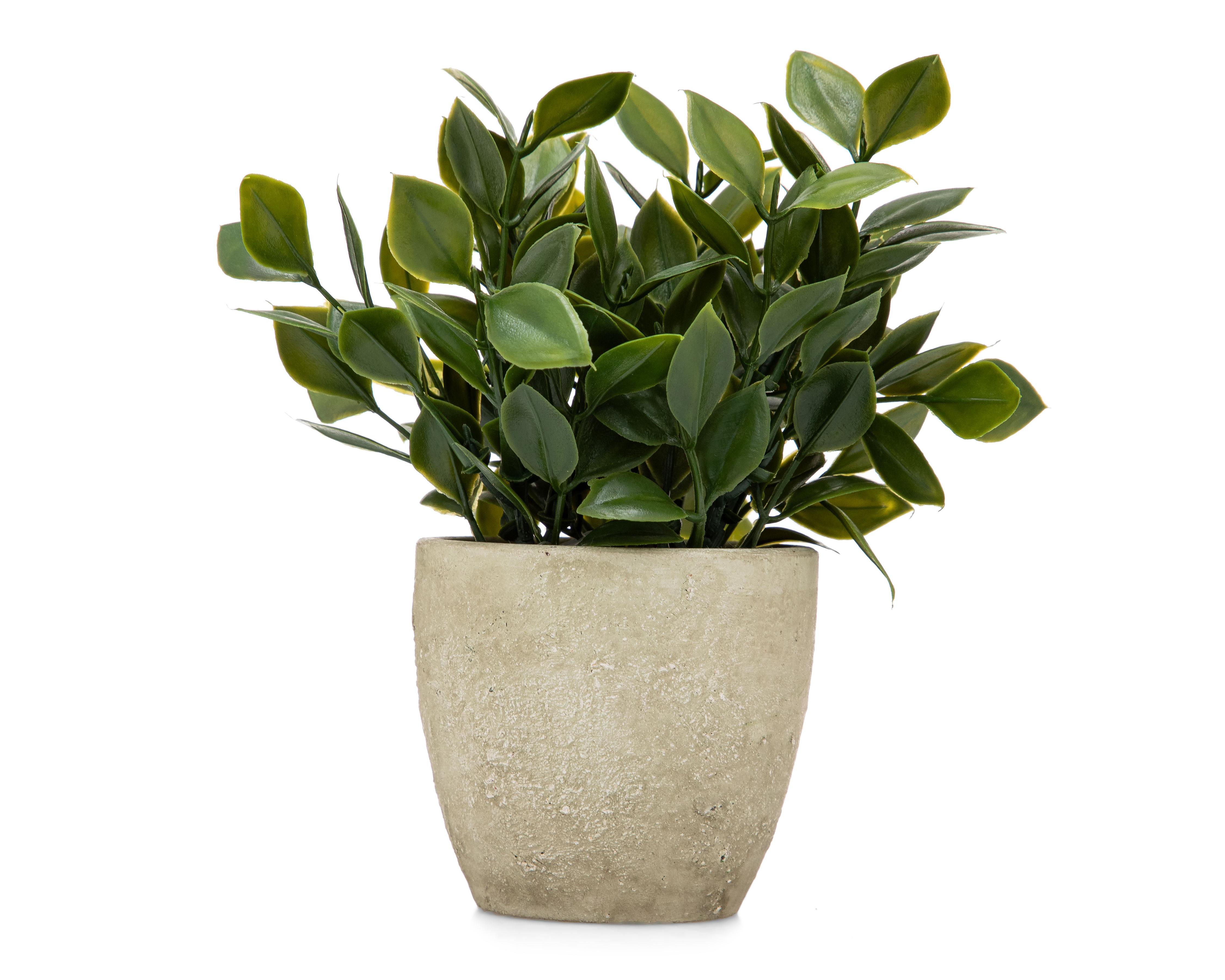 Ficus Artificial con Maceta Starhaus 16.5 cm