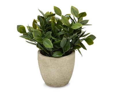 Foto 2 | Ficus Artificial con Maceta Starhaus 16.5 cm