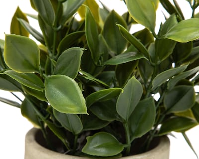 Foto 3 | Ficus Artificial con Maceta Starhaus 16.5 cm