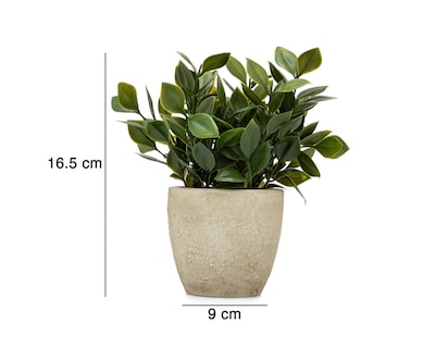 Foto 5 | Ficus Artificial con Maceta Starhaus 16.5 cm