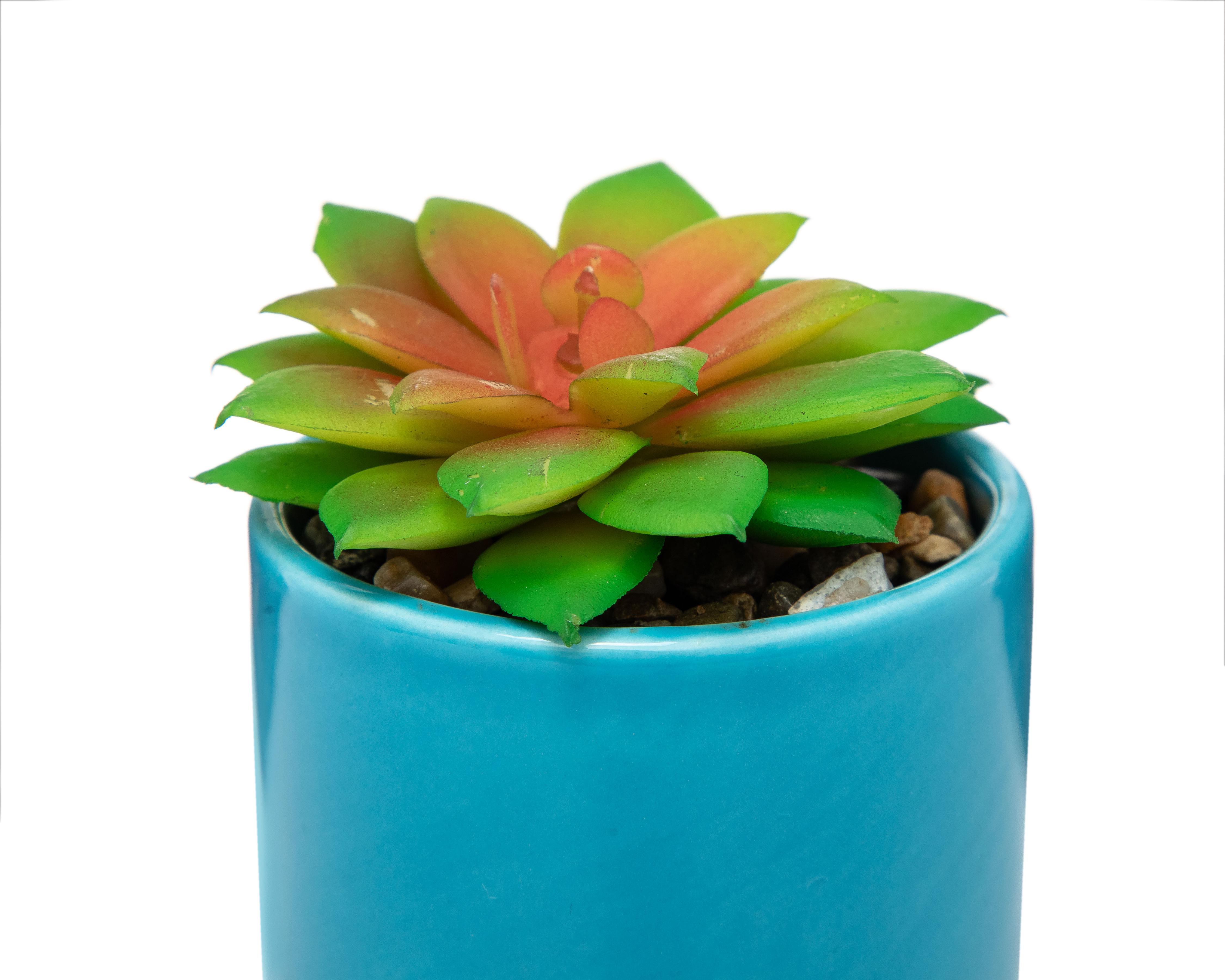Foto 4 pulgar | Suculenta Artificial con Maceta Starhaus 8.5 cm