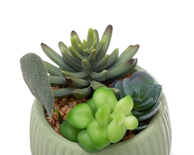 Foto 3 | Planta Artificial con Maceta 16 cm