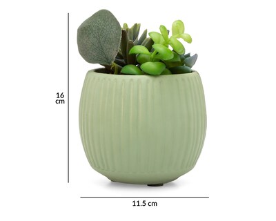 Foto 5 | Planta Artificial con Maceta 16 cm