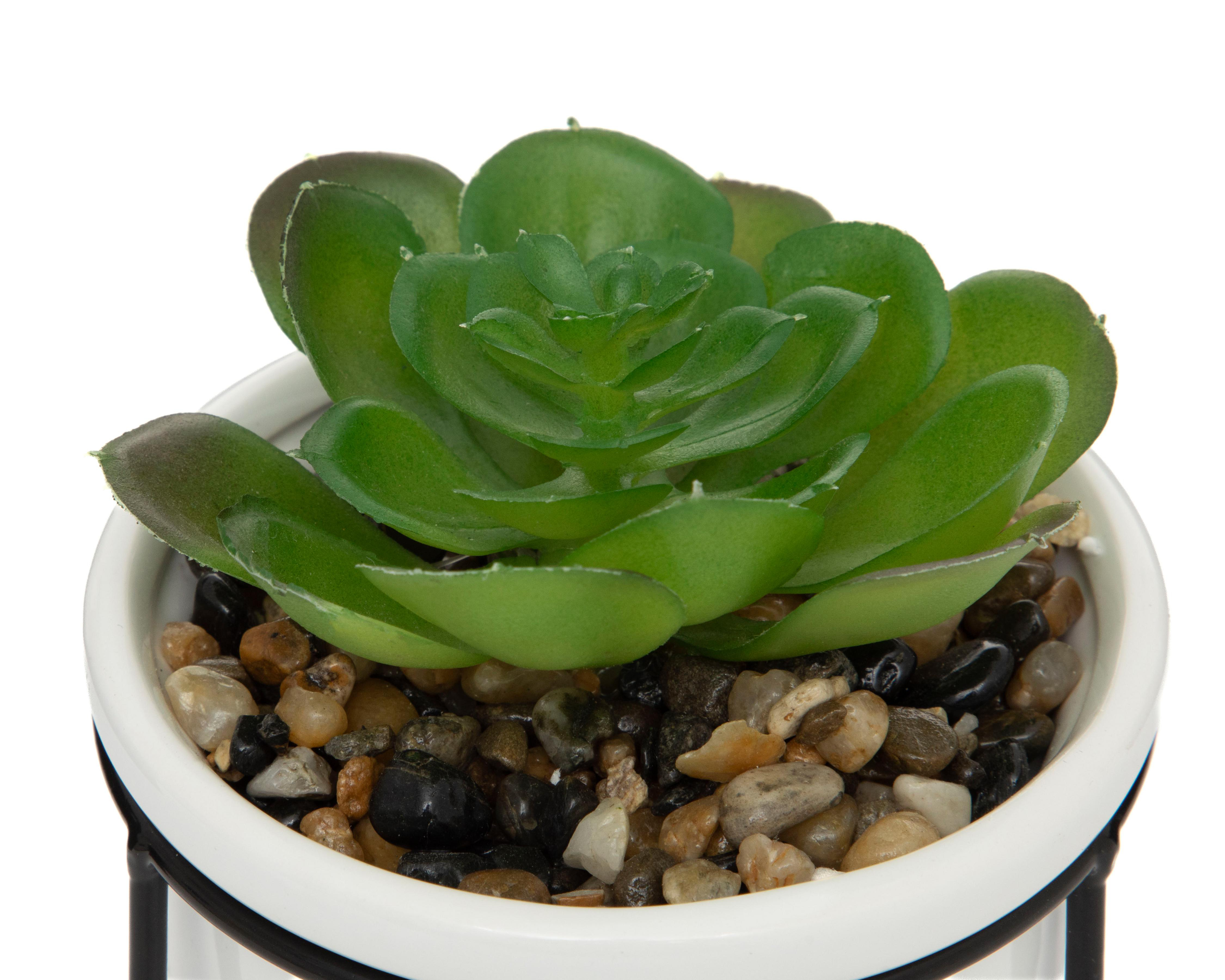 Foto 4 pulgar | Suculenta Artificial con Maceta Starhaus 14 cm