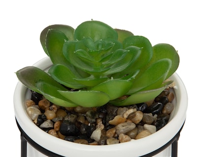 Foto 3 | Suculenta Artificial con Maceta Starhaus 14 cm