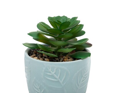 Foto 3 | Suculenta Artificial con Maceta Starhaus 13.5 cm