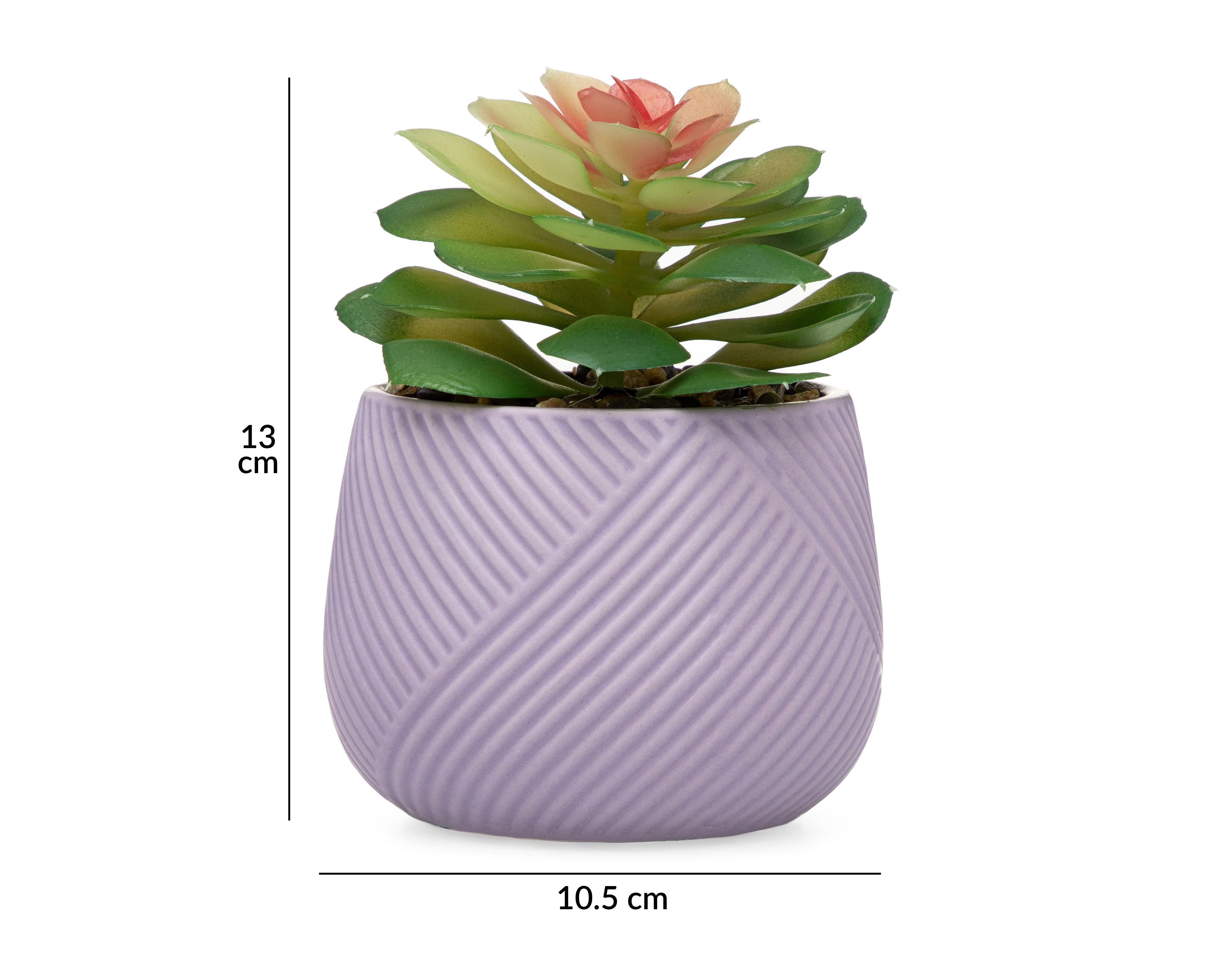 Foto 5 | Suculenta Artificial con Maceta Starhaus 13 cm
