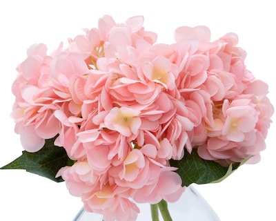 Foto 3 | Hortensia Artificial con Florero Starhaus 24 cm