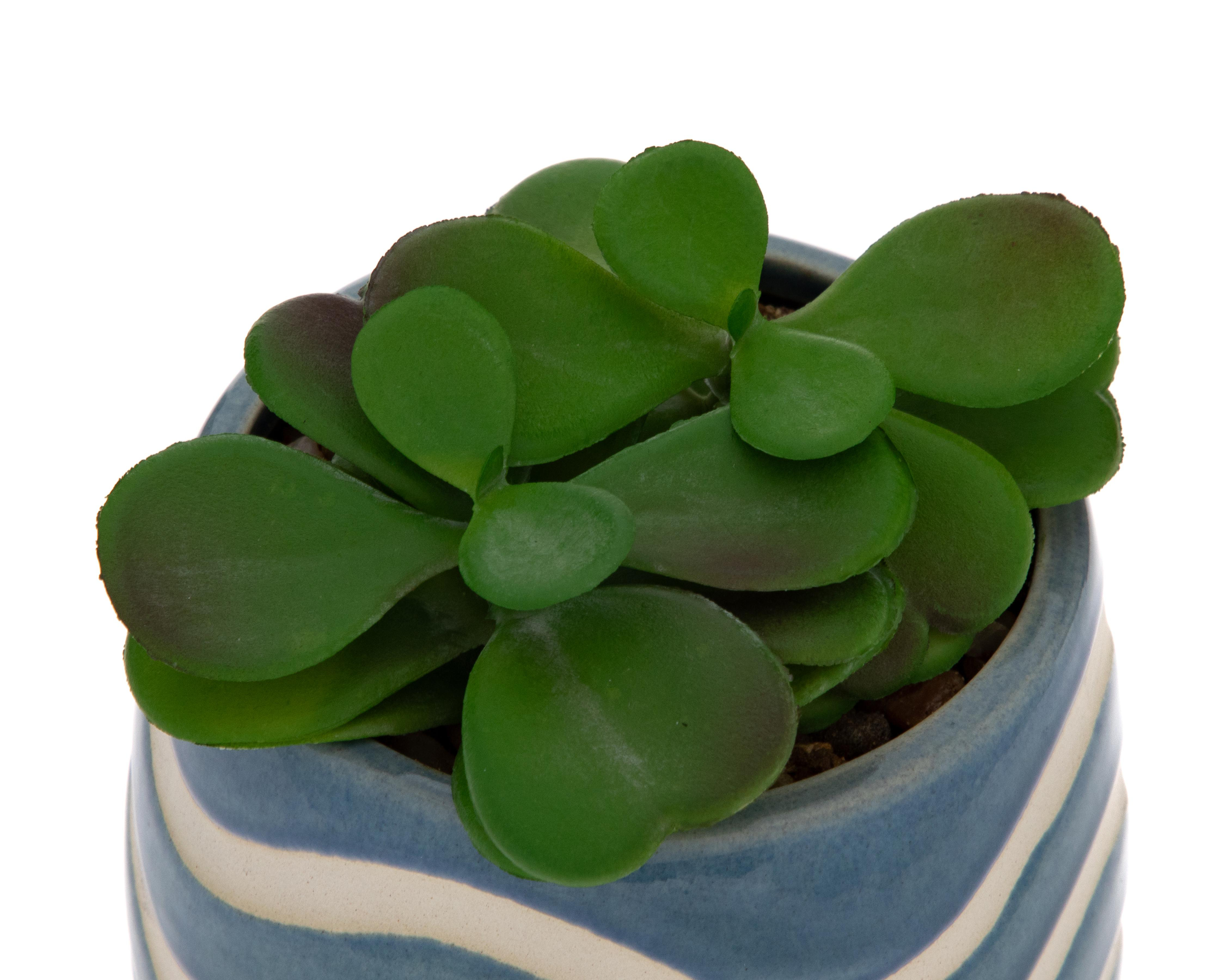 Foto 4 pulgar | Suculenta Artificial con Maceta Starhaus 12 cm