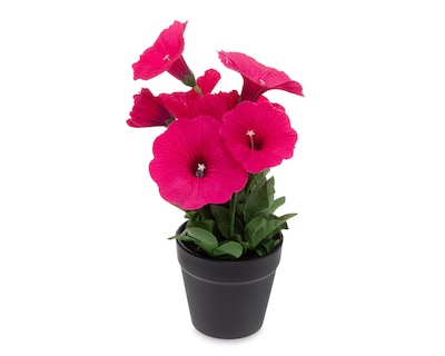 Foto 2 | Planta Artificial con Maceta Starhaus 25 cm
