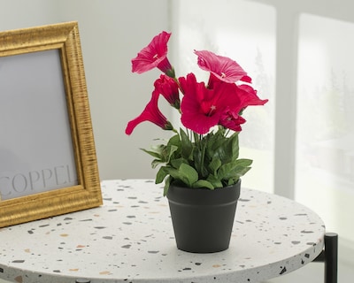 Foto 4 | Planta Artificial con Maceta Starhaus 25 cm