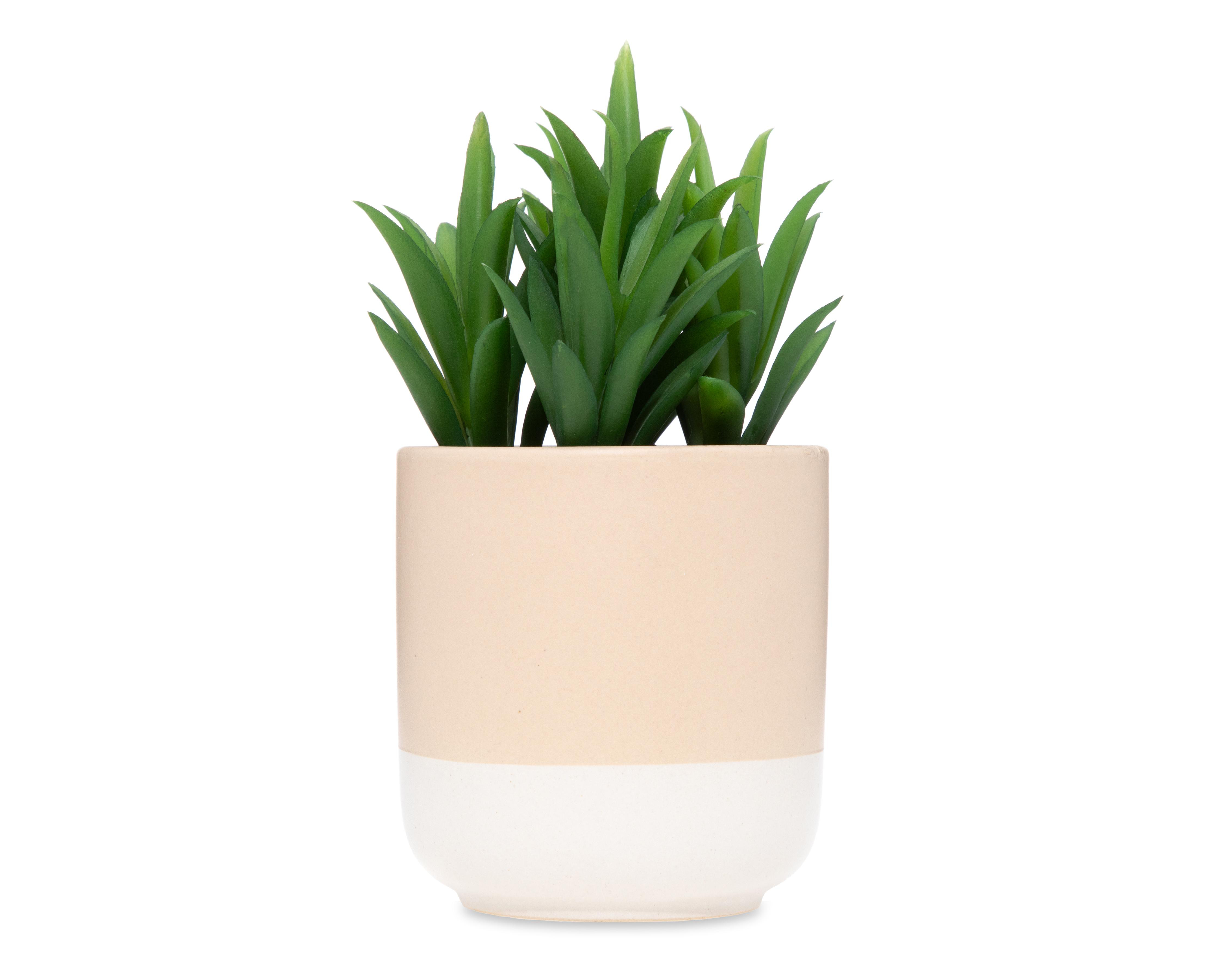 Suculenta Artificial con Maceta Starhaus 15 cm