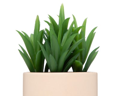 Foto 3 | Suculenta Artificial con Maceta Starhaus 15 cm