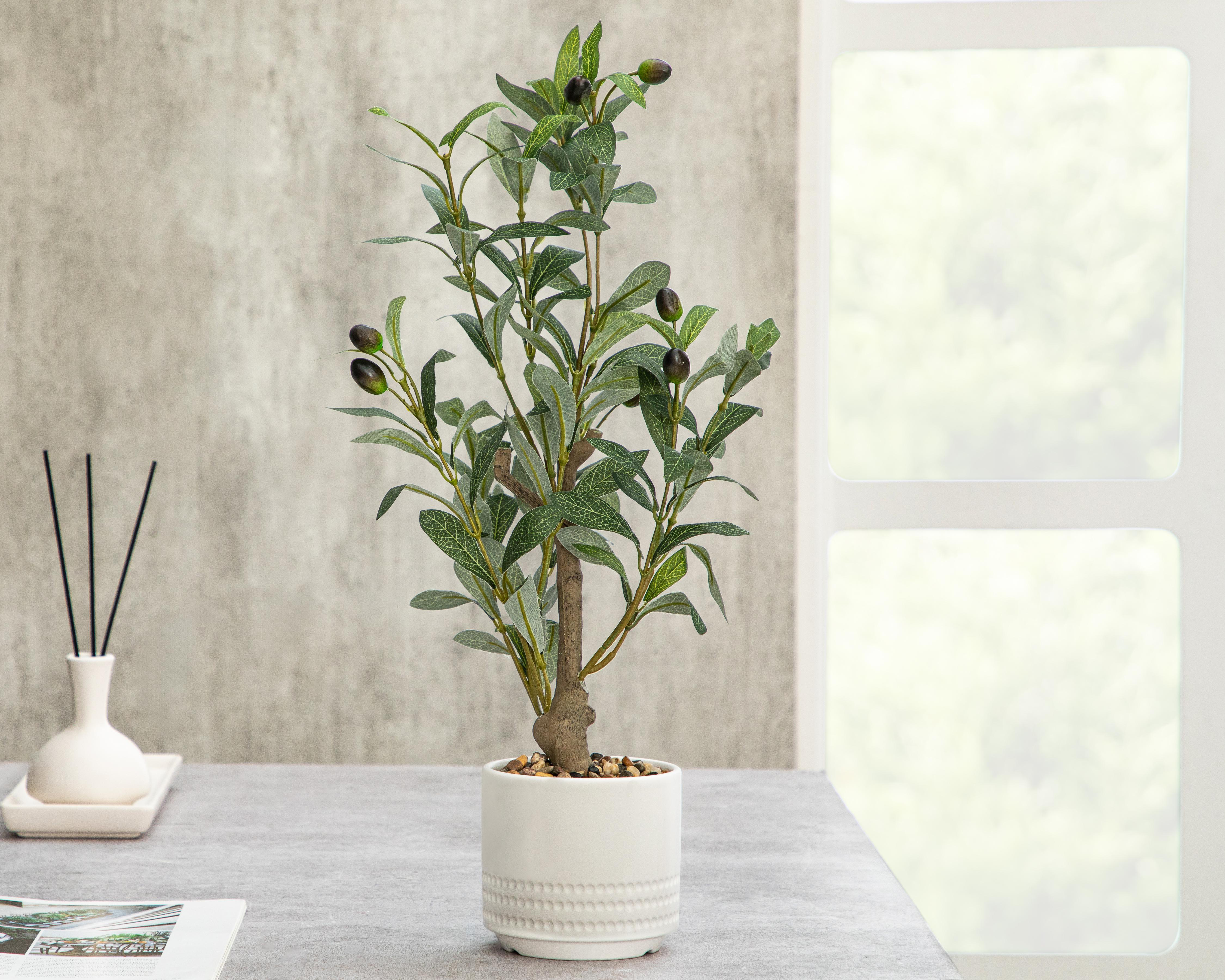 Foto 4 | Olivo Artificial con Maceta Starhaus 50 cm