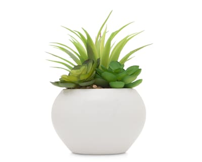 Foto 1 | Suculenta Artificial con Maceta Starhaus 17 cm