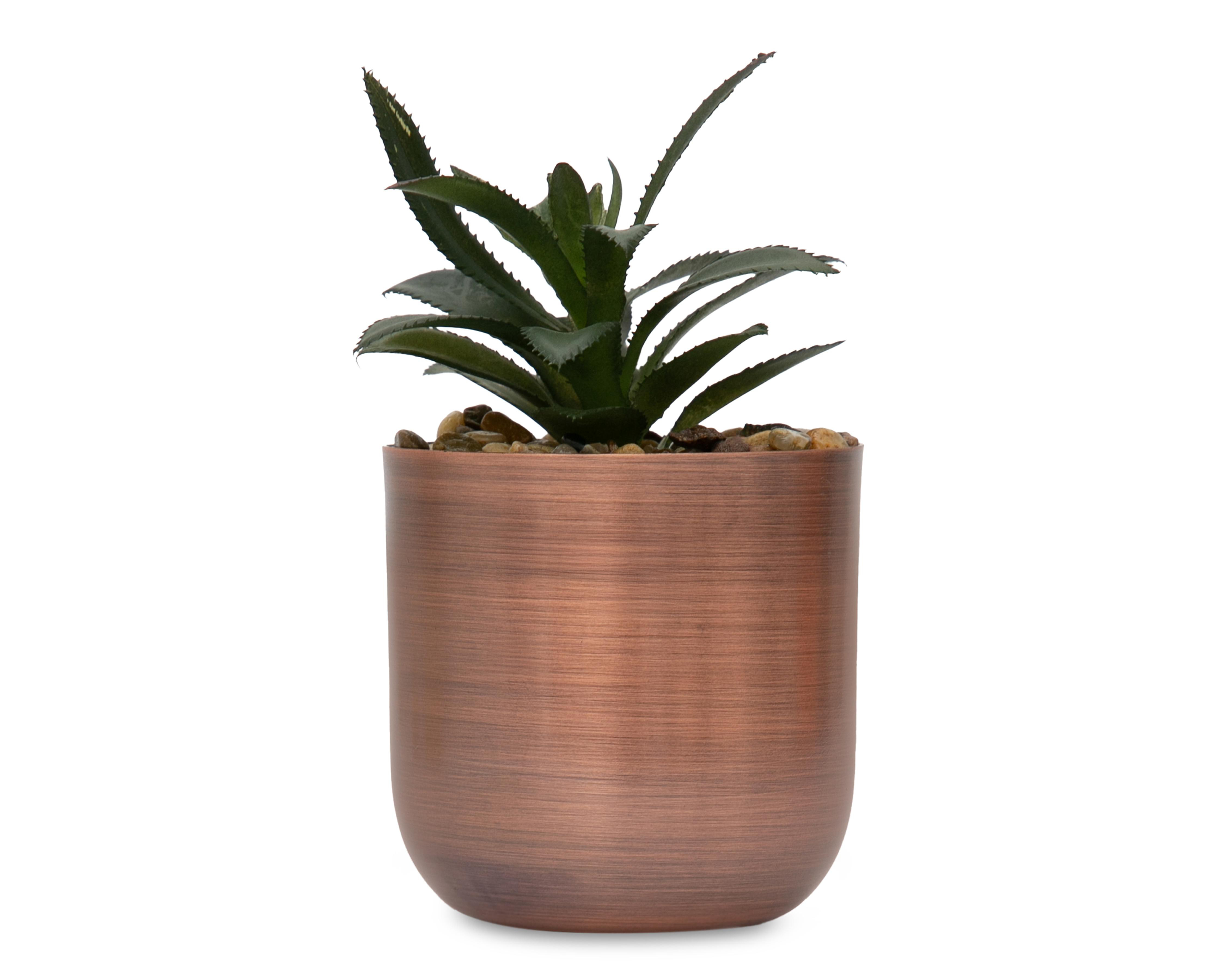 Suculenta Artificial con Maceta Starhaus 15 cm