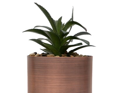 Foto 3 | Suculenta Artificial con Maceta Starhaus 15 cm