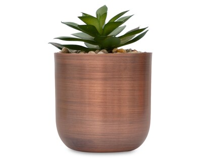 Foto 1 | Suculenta Artificial con Maceta Starhaus 12 cm