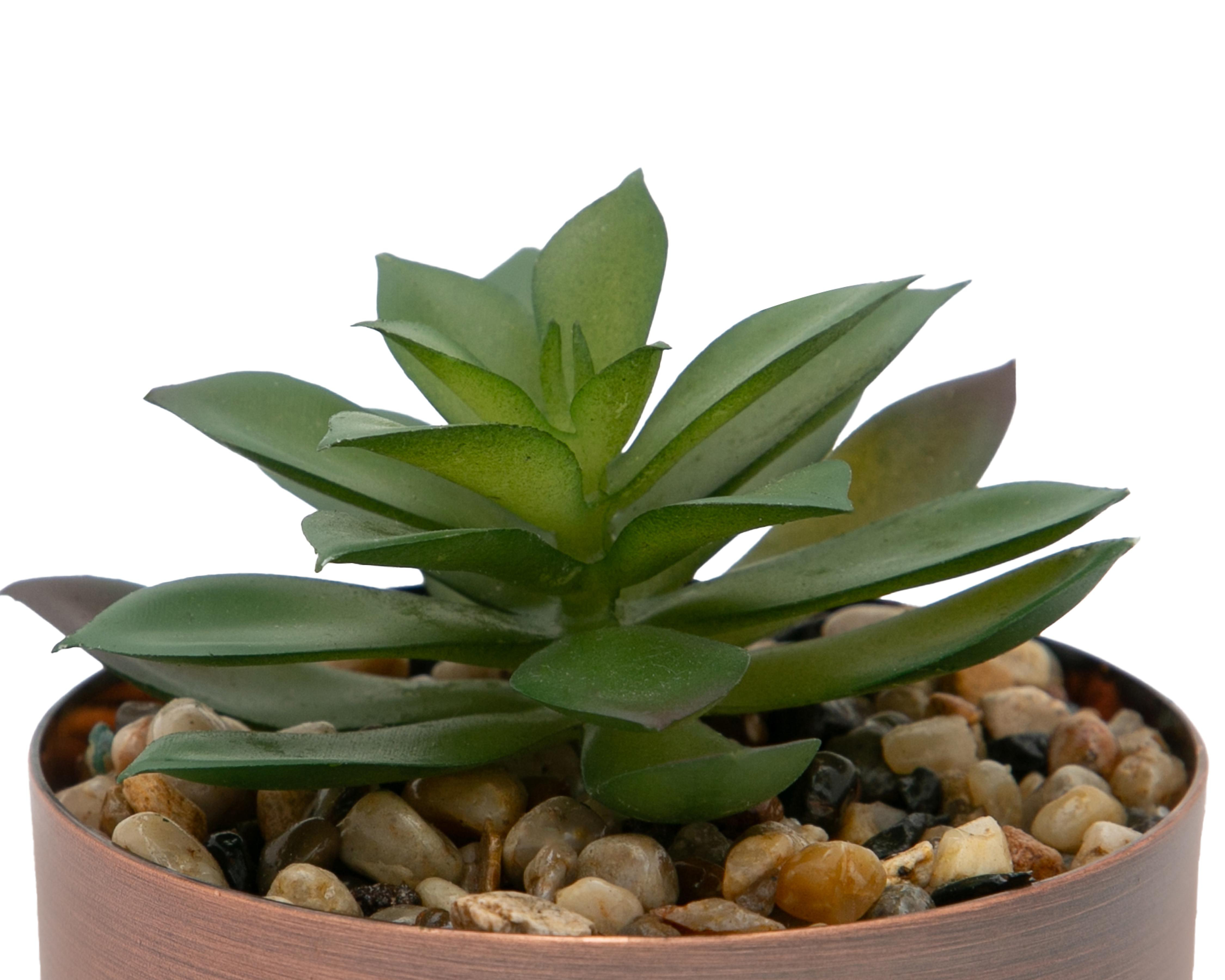 Foto 3 | Suculenta Artificial con Maceta Starhaus 12 cm