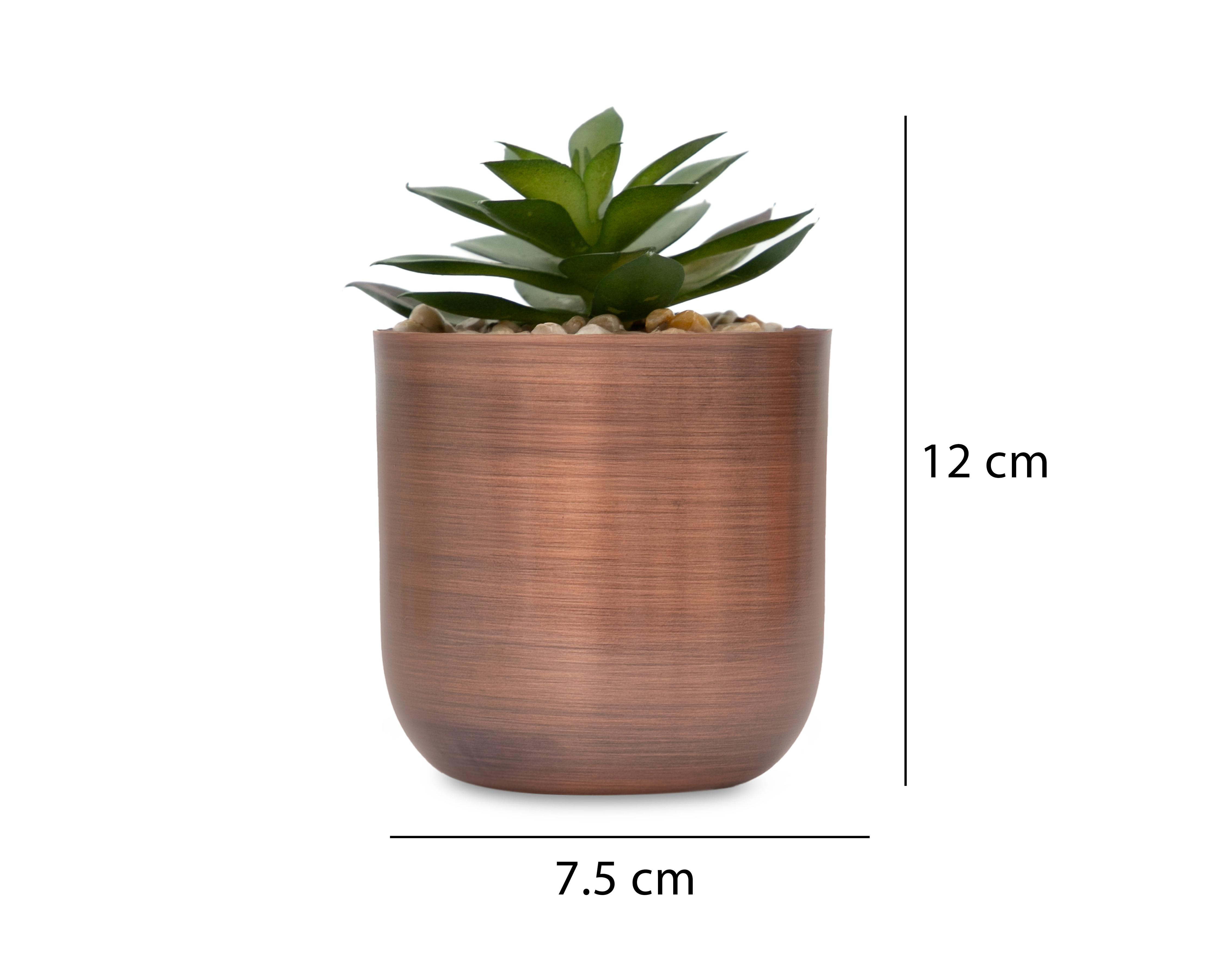 Foto 5 | Suculenta Artificial con Maceta Starhaus 12 cm