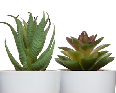 Foto 3 | Planta Artificial con Maceta Starhaus 16 cm