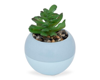 Foto 2 | Suculenta Artificial con Maceta Starhaus 12 cm