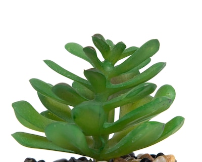 Foto 3 | Suculenta Artificial con Maceta Starhaus 12 cm
