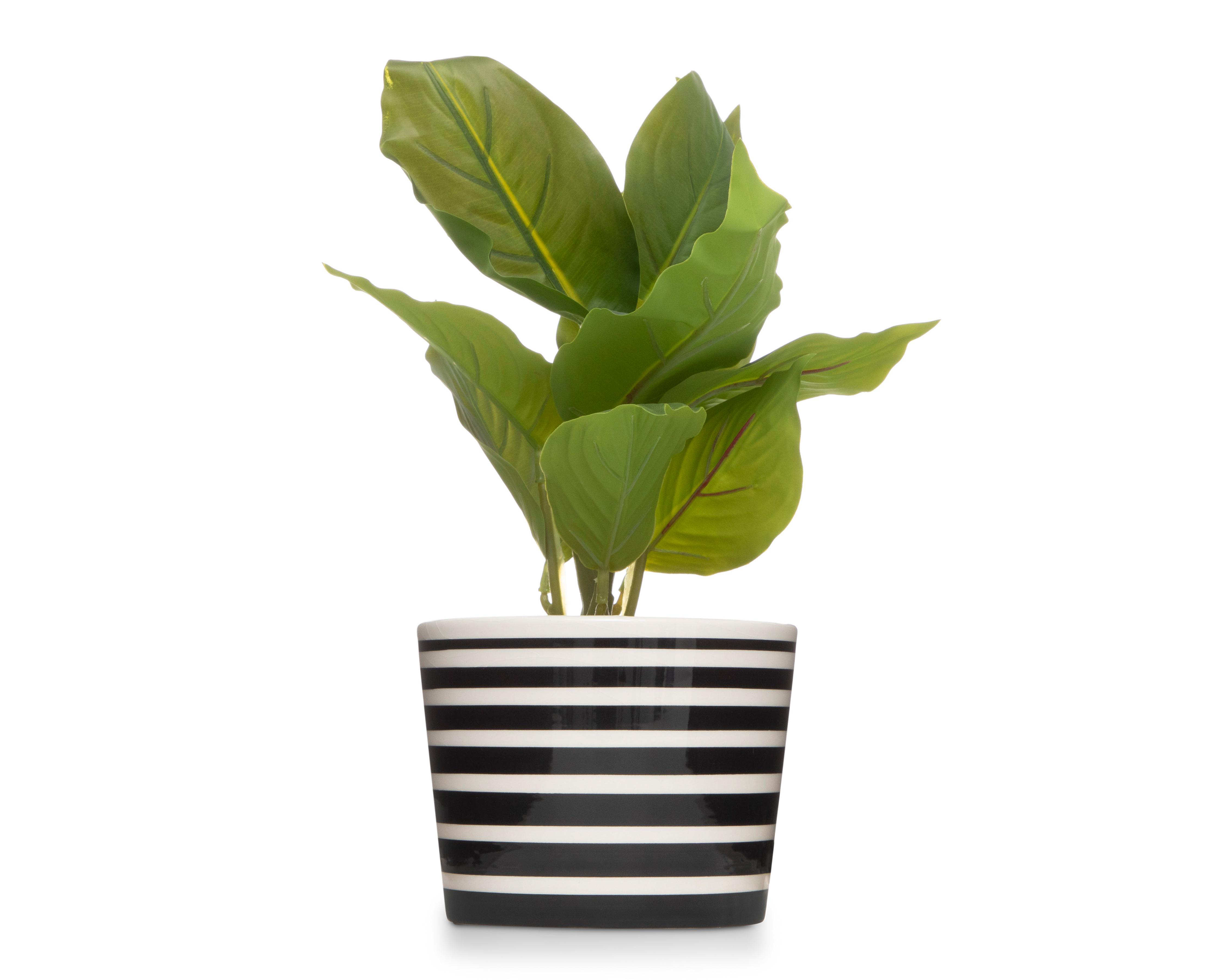 Planta Artificial con Maceta Starhaus 28 cm $179