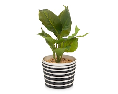 Foto 2 | Planta Artificial con Maceta Starhaus 28 cm