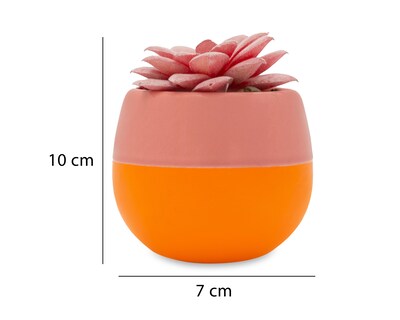 Foto 5 | Suculenta Artificial con Maceta Starhaus 10 cm