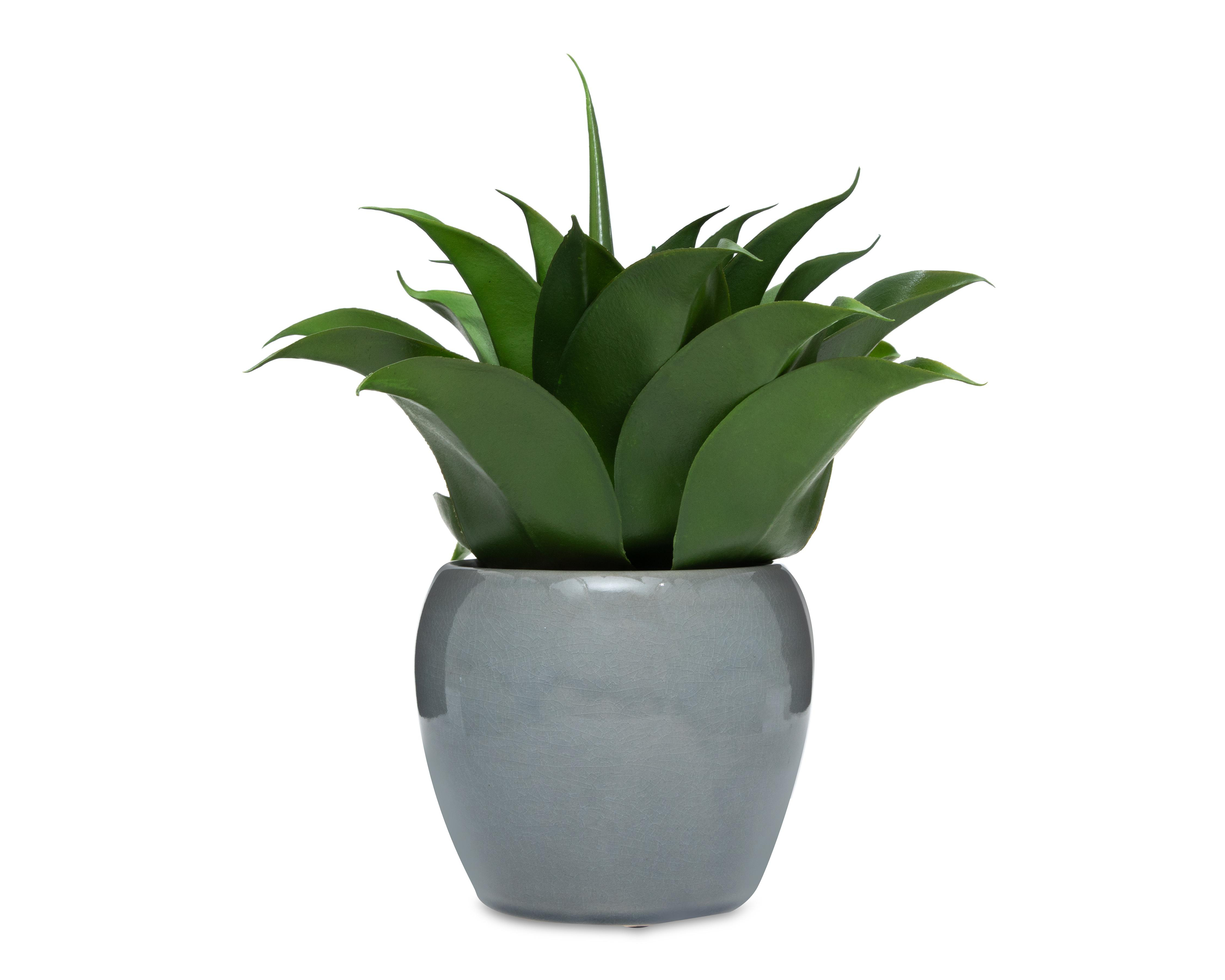 Foto 2 pulgar | Maguey Artificial Starhaus Rene 30 cm