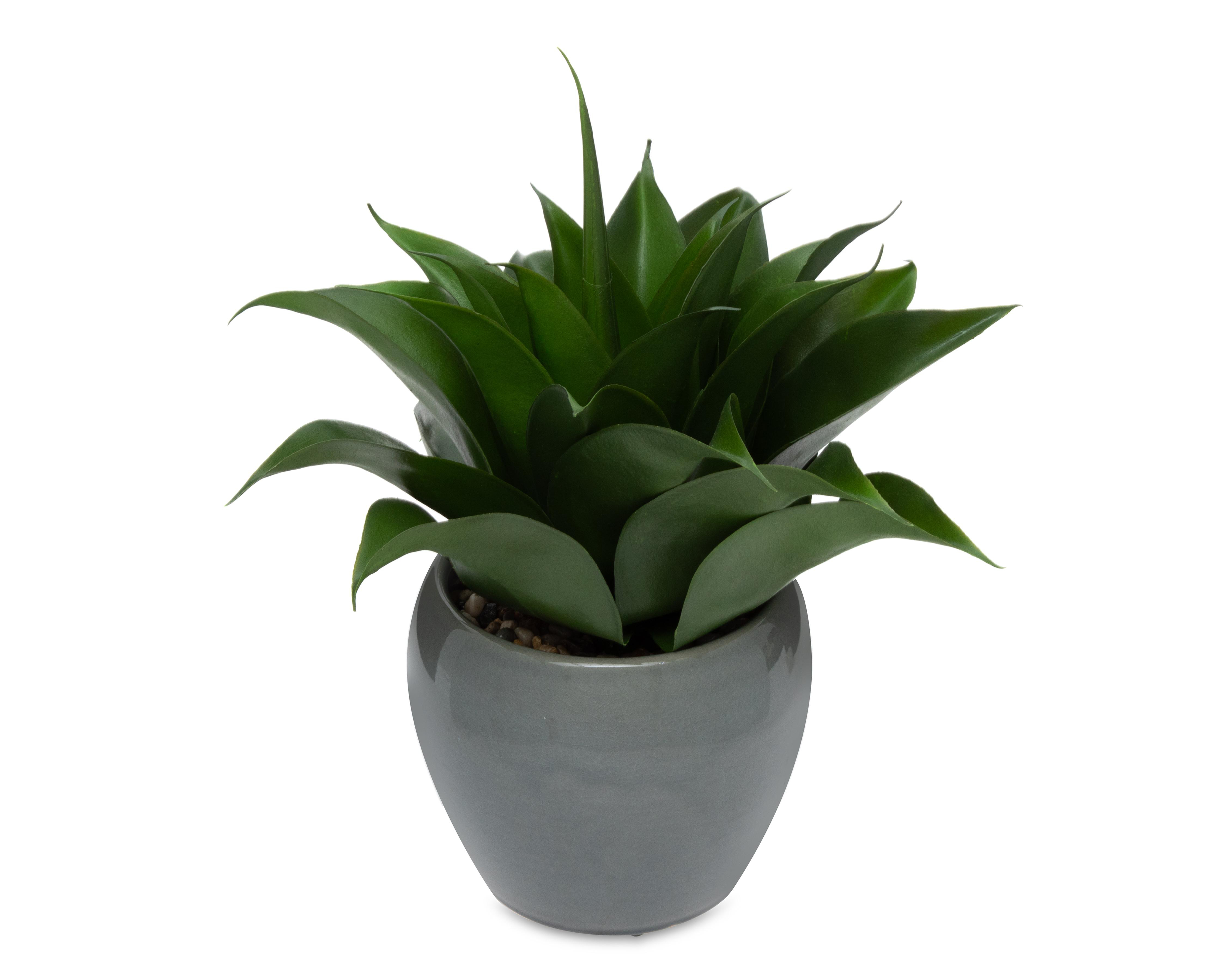 Foto 3 pulgar | Maguey Artificial Starhaus Rene 30 cm