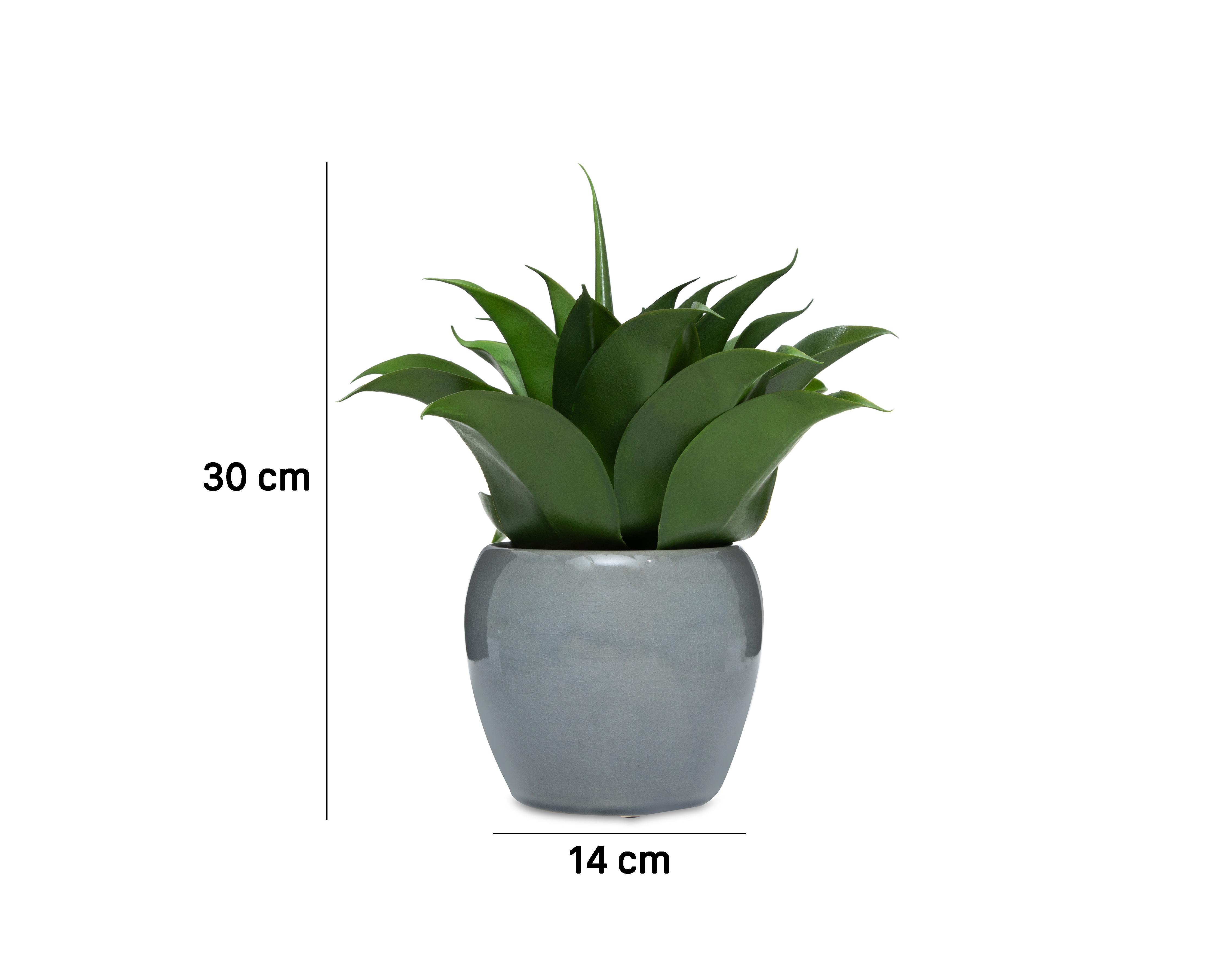 Foto 6 pulgar | Maguey Artificial Starhaus Rene 30 cm