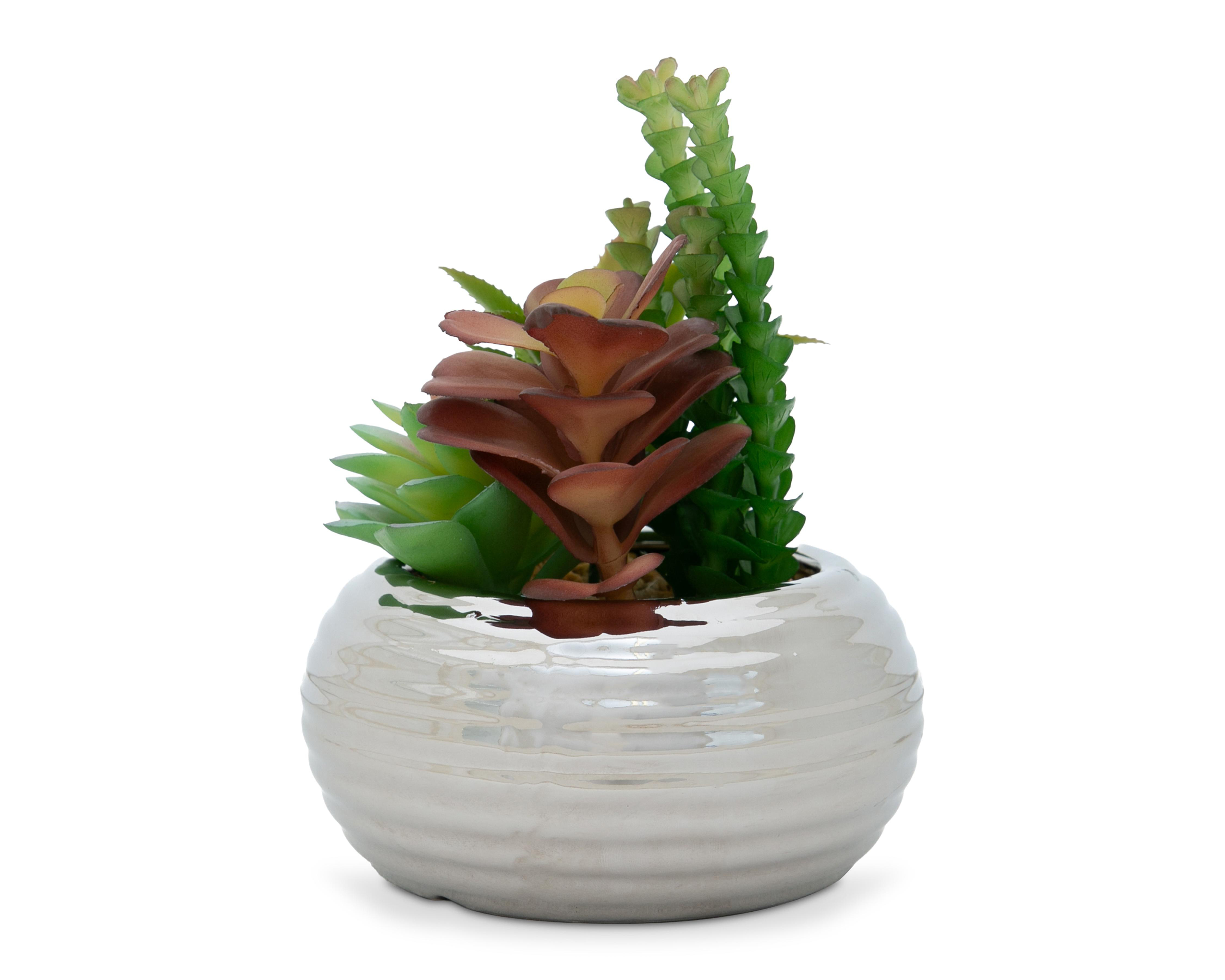 Foto 1 | Suculenta Artificial con Maceta Starhaus 14 cm