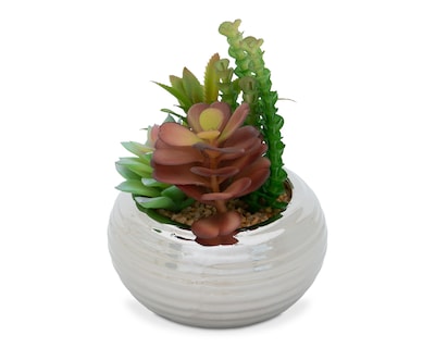 Foto 2 | Suculenta Artificial con Maceta Starhaus 14 cm