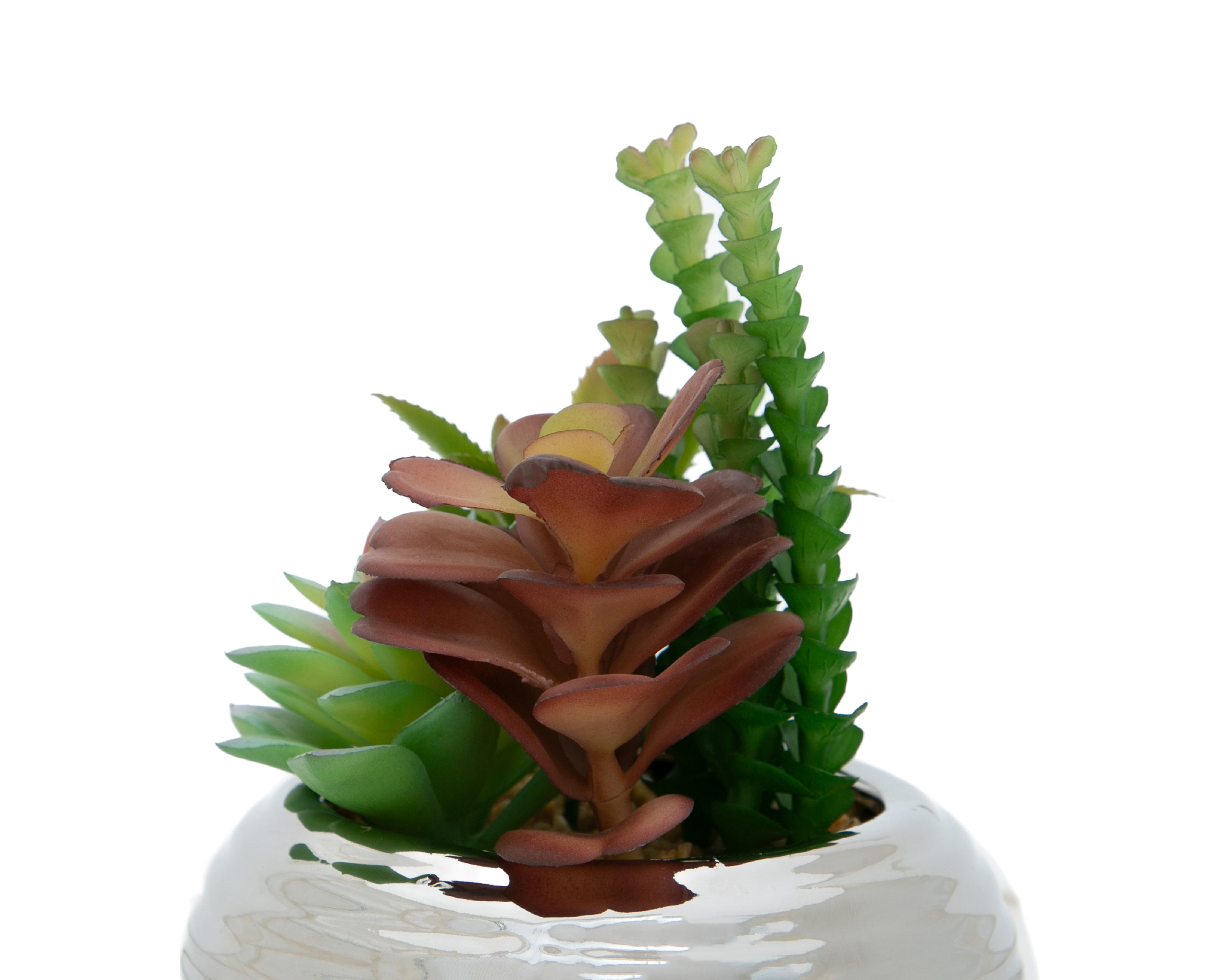 Foto 4 pulgar | Suculenta Artificial con Maceta Starhaus 14 cm