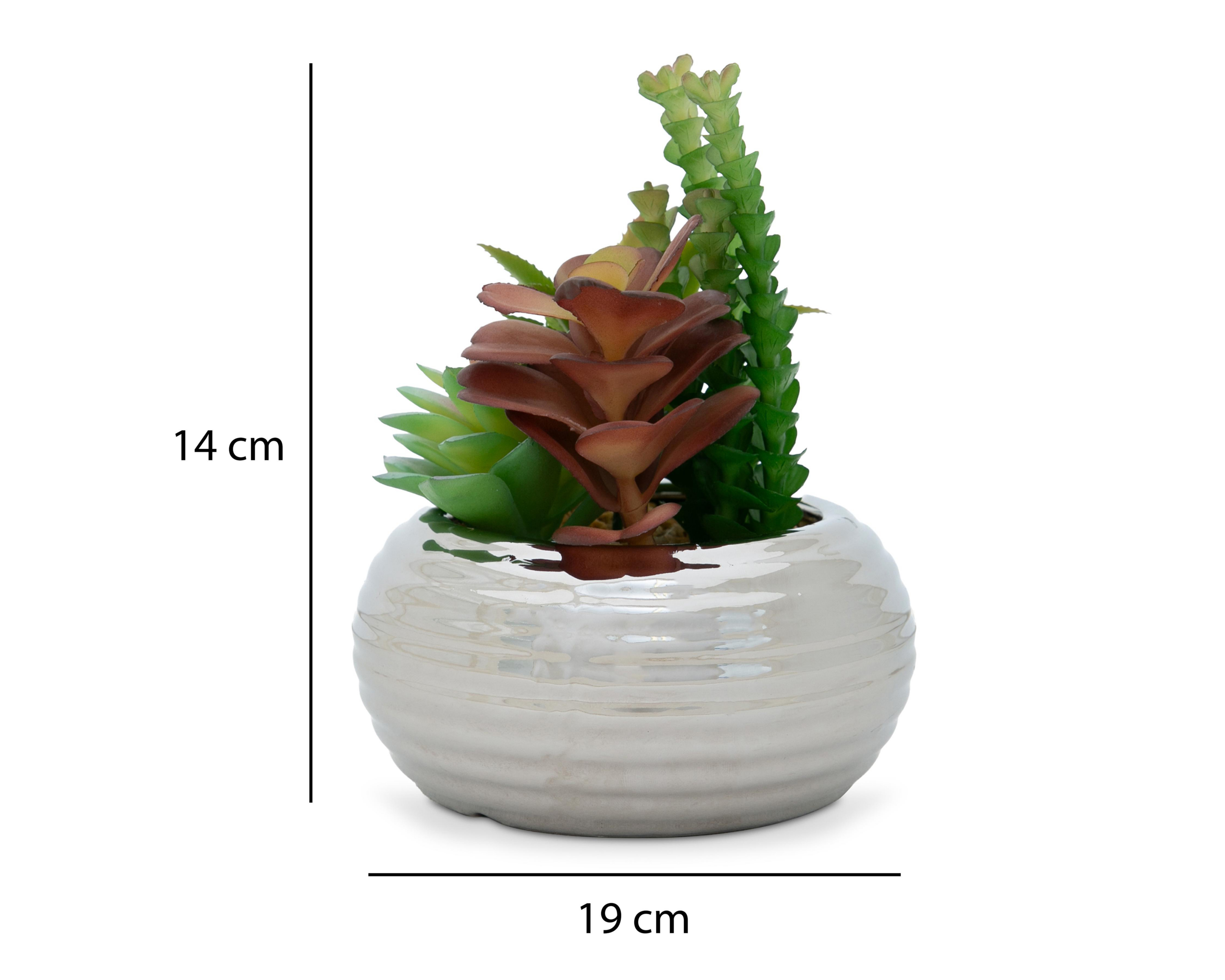 Foto 5 | Suculenta Artificial con Maceta Starhaus 14 cm