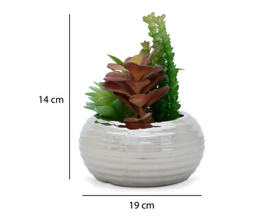 Foto 5 | Suculenta Artificial con Maceta Starhaus 14 cm