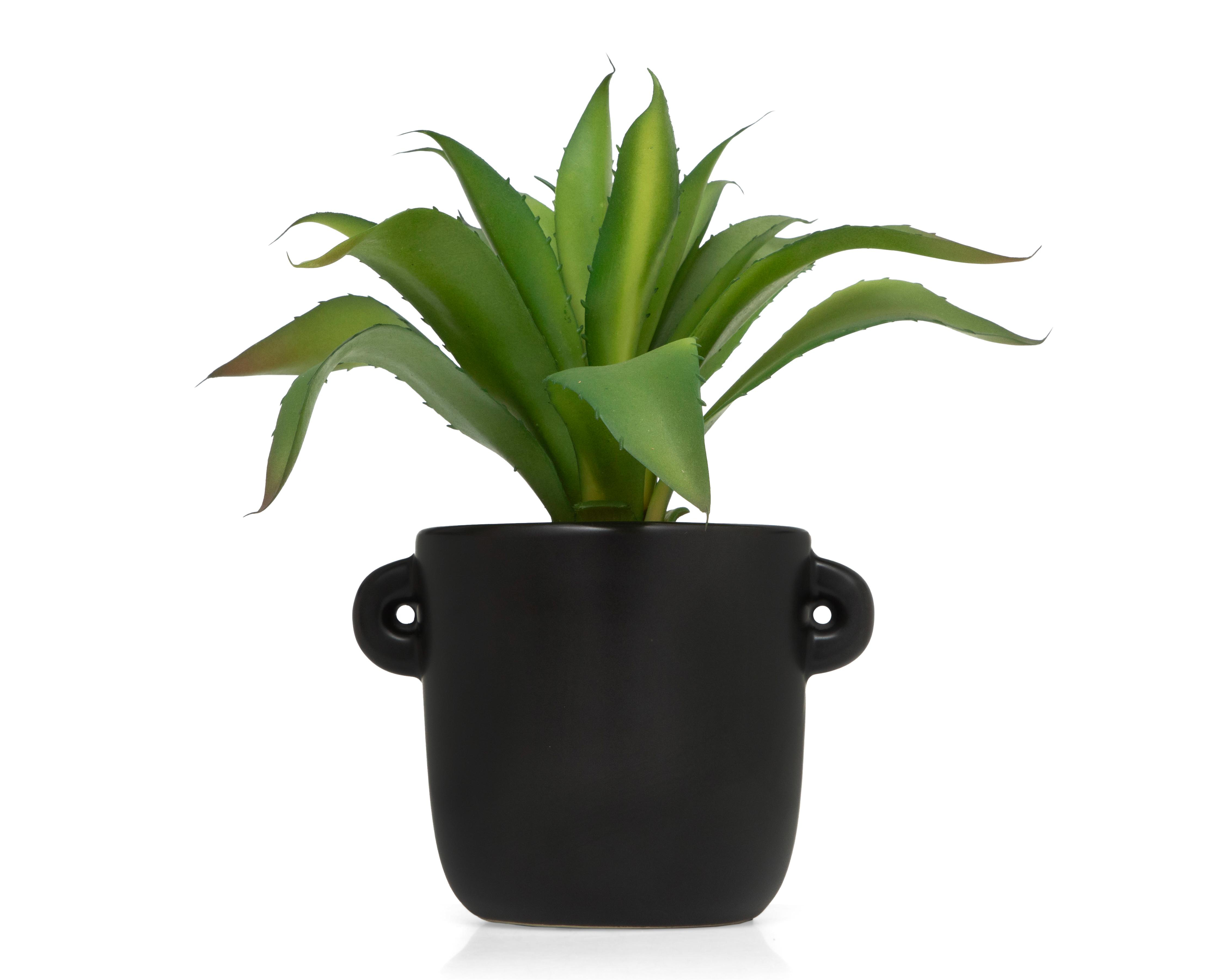 Foto 2 pulgar | Aloe Vera con Maceta Starhaus 27 cm