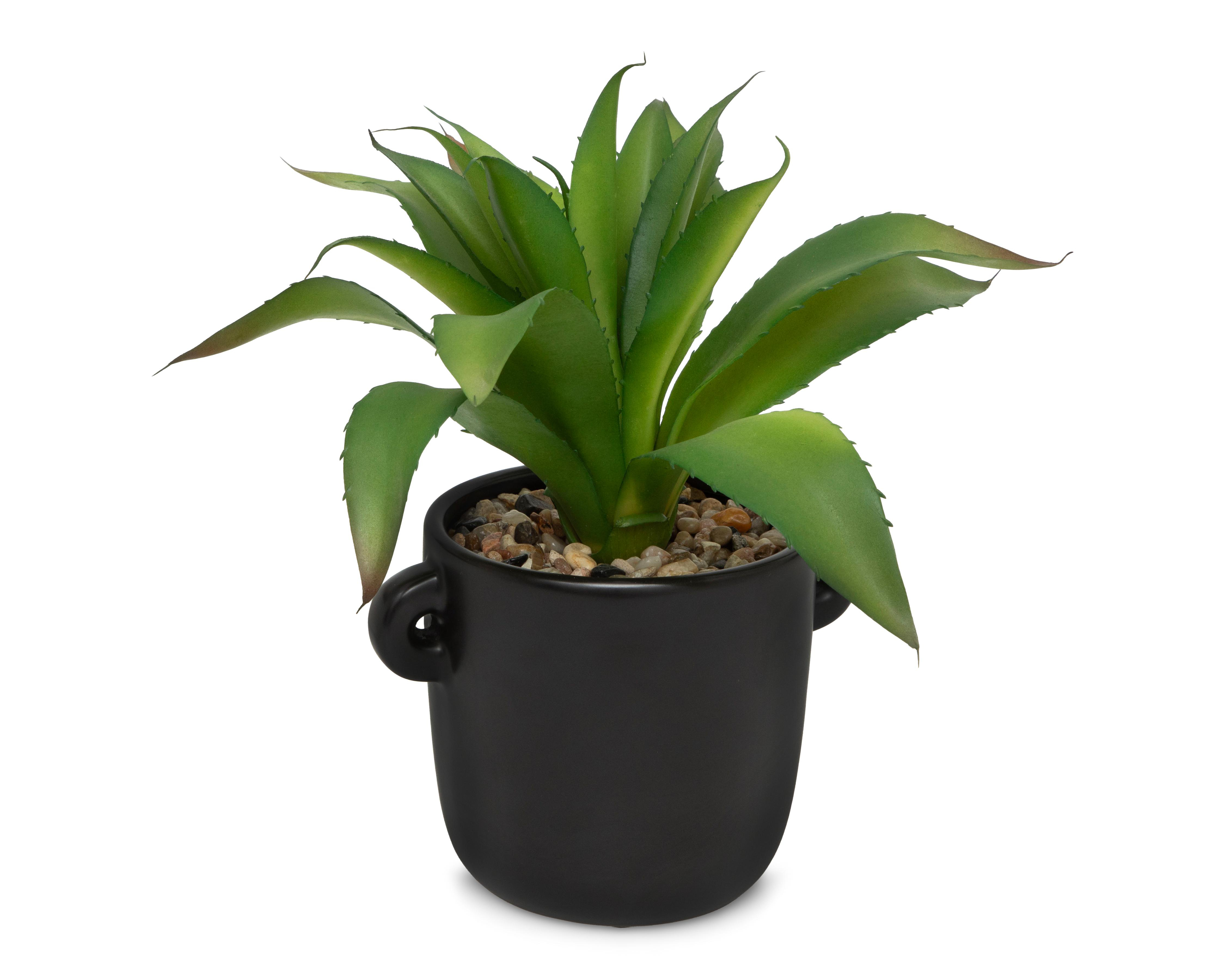Foto 3 pulgar | Aloe Vera con Maceta Starhaus 27 cm