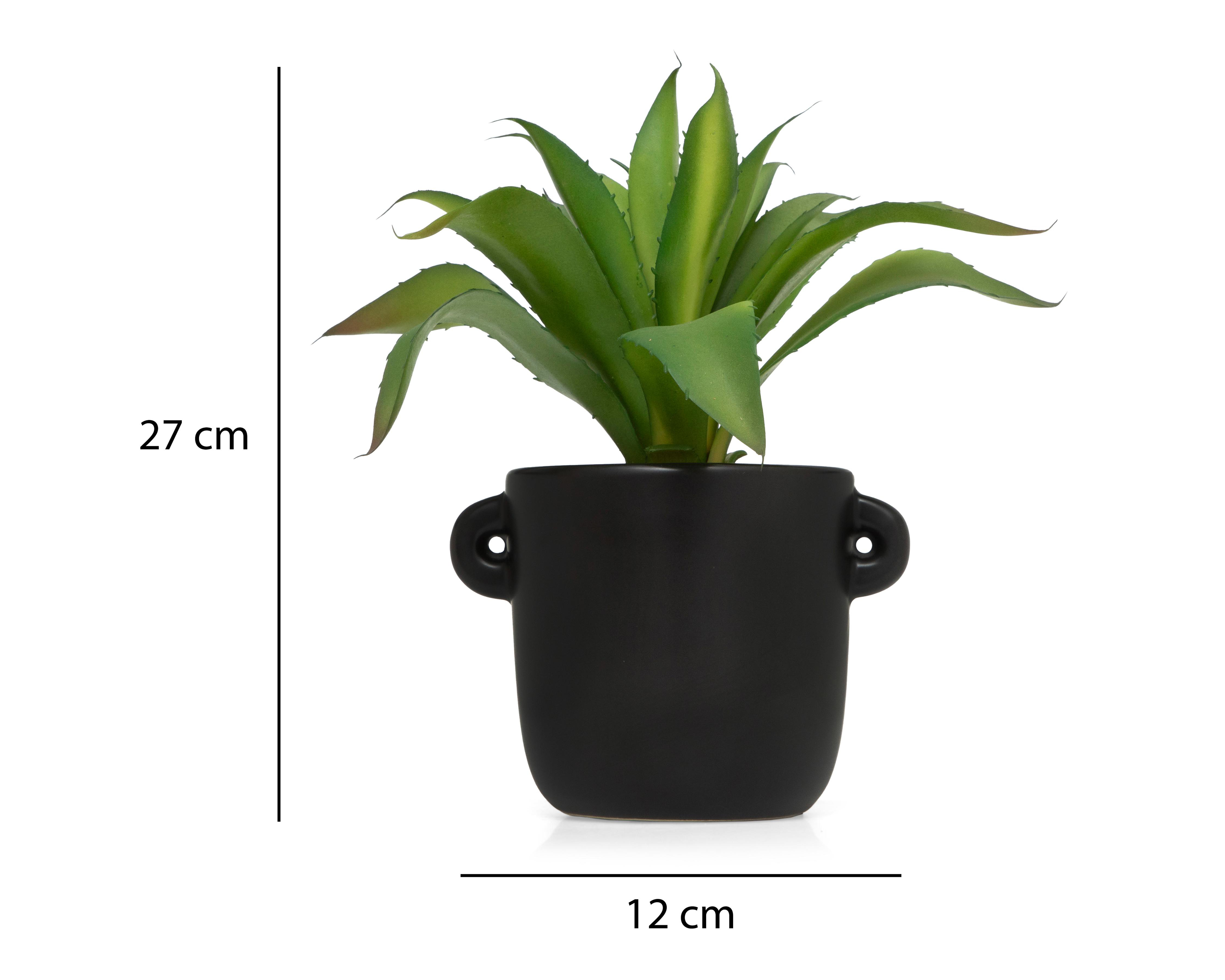 Foto 6 pulgar | Aloe Vera con Maceta Starhaus 27 cm