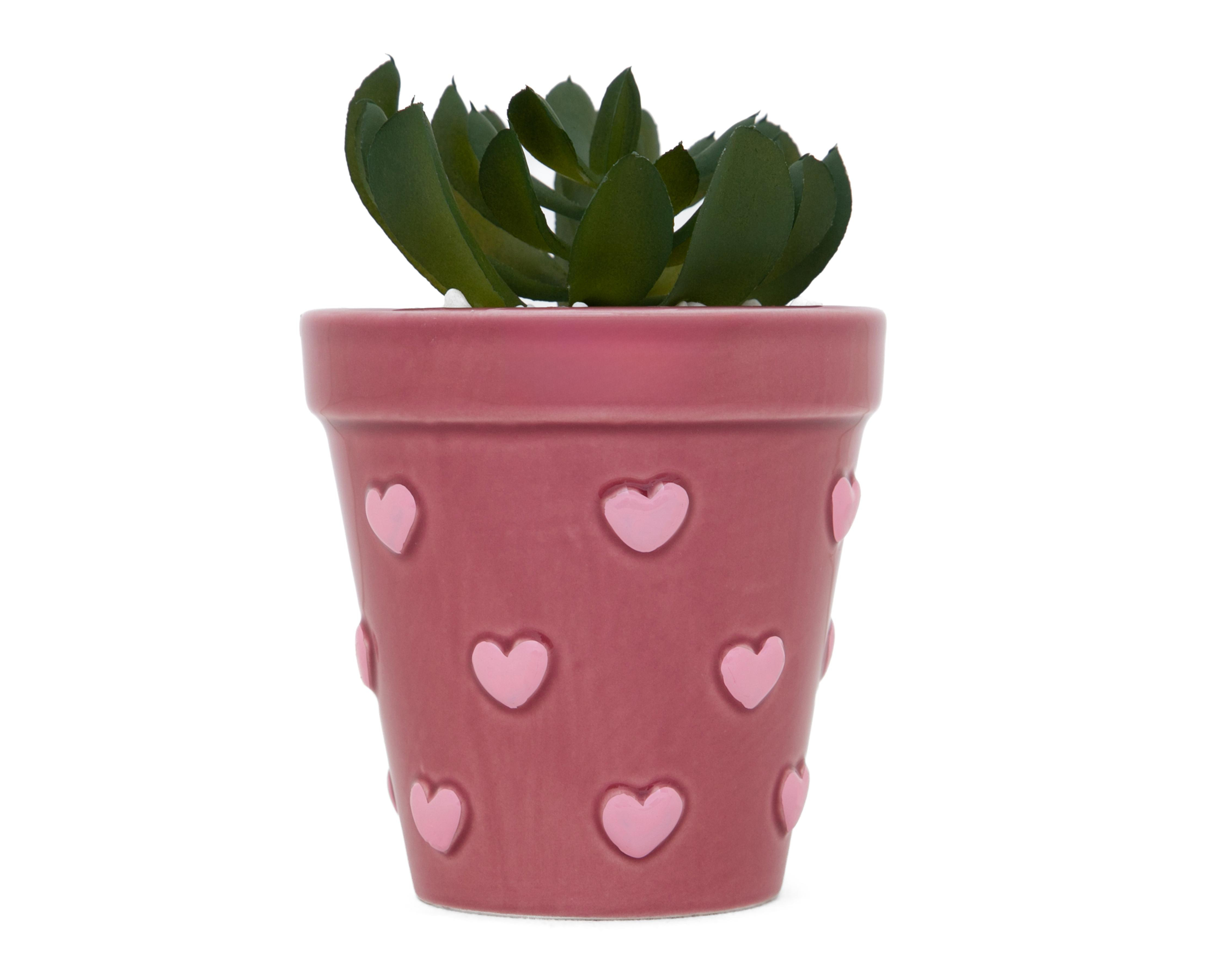 Suculenta Artificial con Maceta Starhaus 14 cm