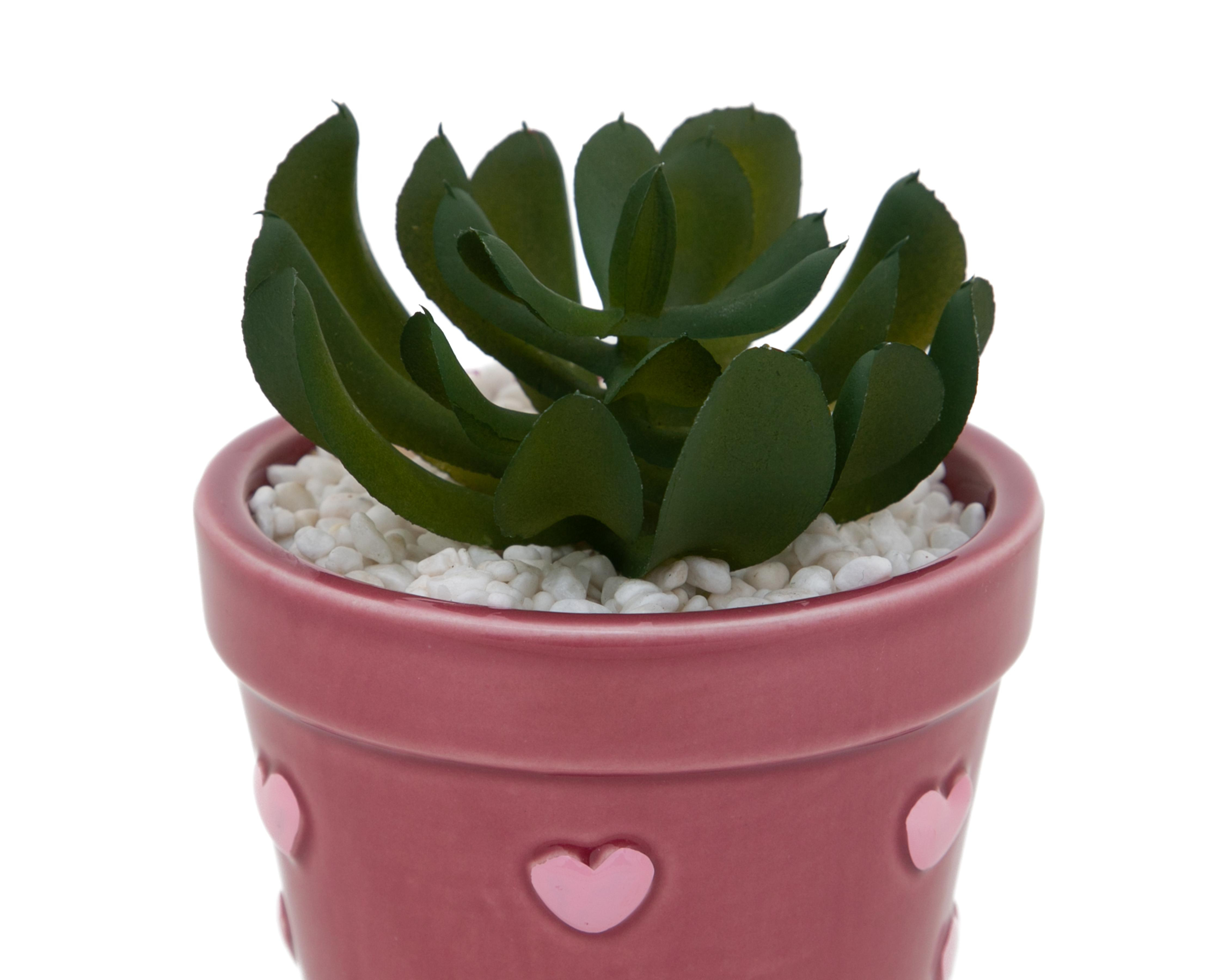 Foto 4 pulgar | Suculenta Artificial con Maceta Starhaus 14 cm