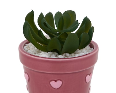 Foto 3 | Suculenta Artificial con Maceta Starhaus 14 cm