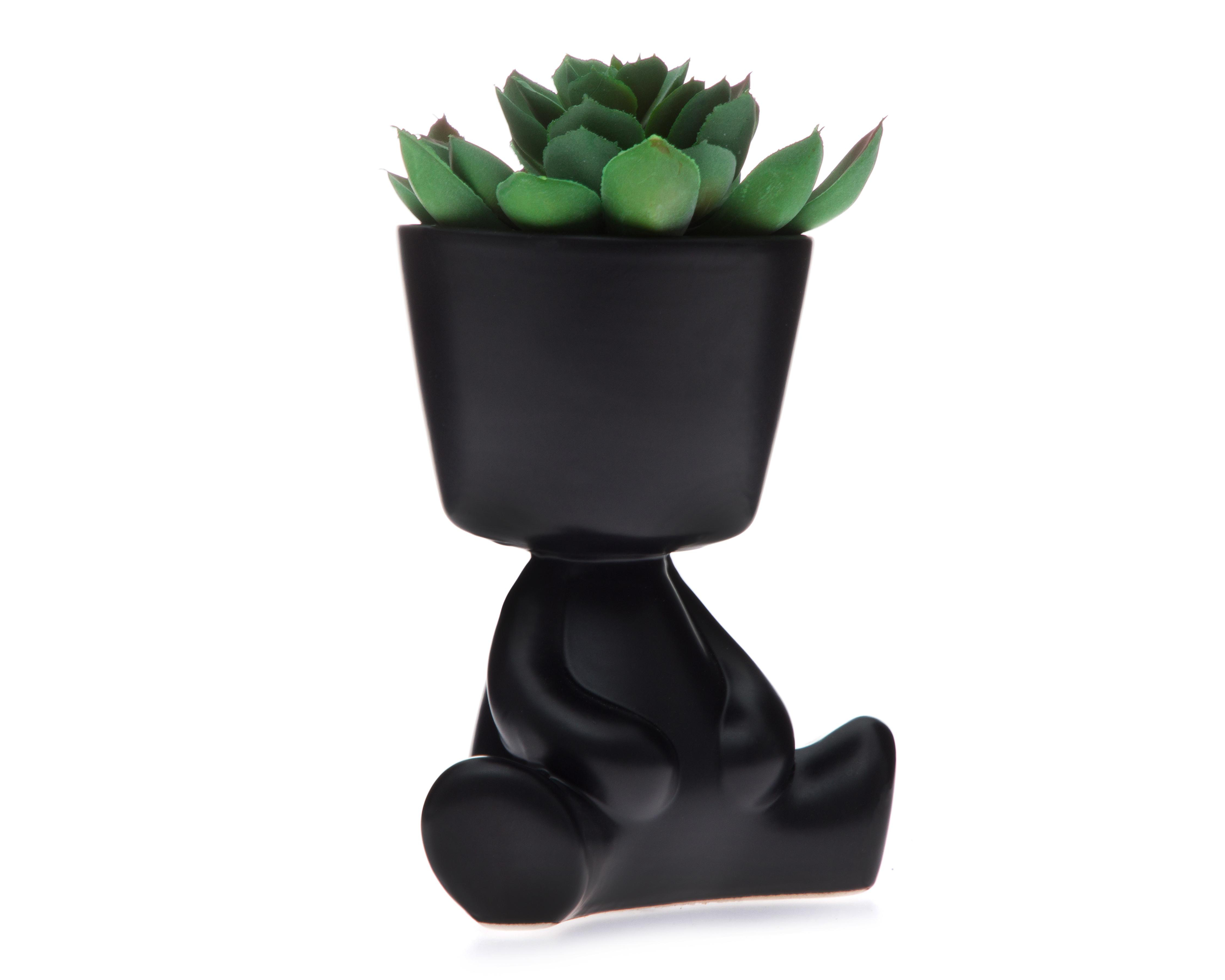 Suculenta Artificial con Maceta Starhaus 17 cm